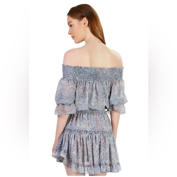 MISA Los Angeles Darla Off Shoulder Dress Small Muted Paisley from Revolve - Picture 3 of 9